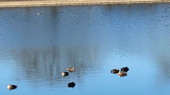 名前が出てこない