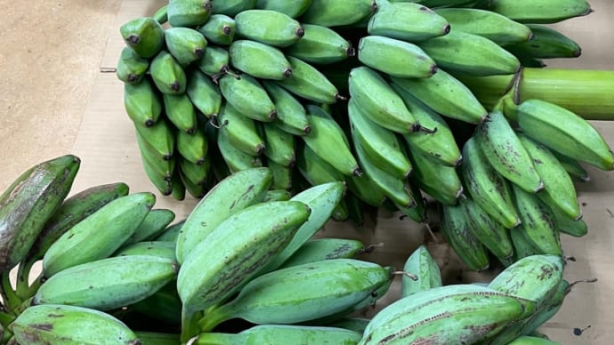 アイスクリームバナナ/野菜バナナ　販売