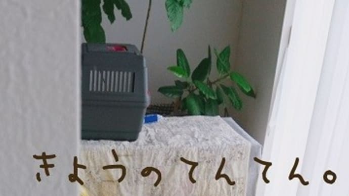 見られても平気。