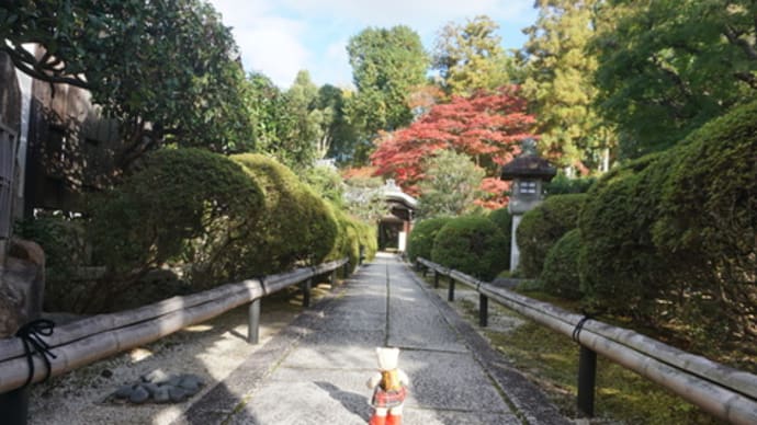 見頃を迎え始めた京都の紅葉。「金戒光明寺」近くの紅葉の名所「榮攝院」と「真如堂」へ