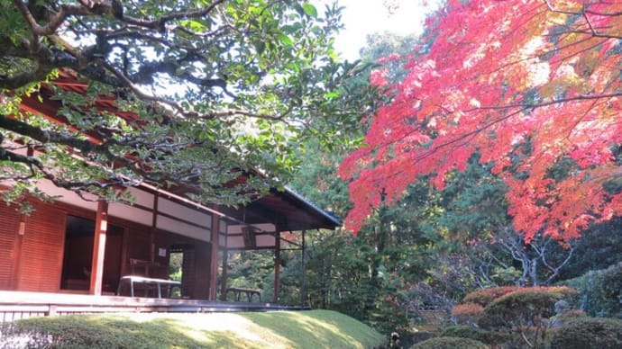妙心寺「桂春院」