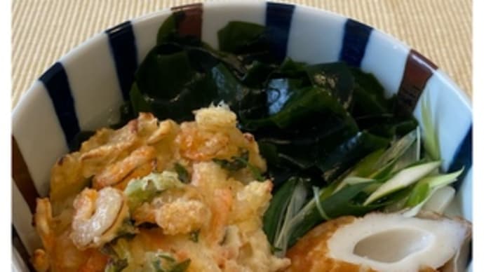 ごまめ自家製うどん・234~2021.02.19