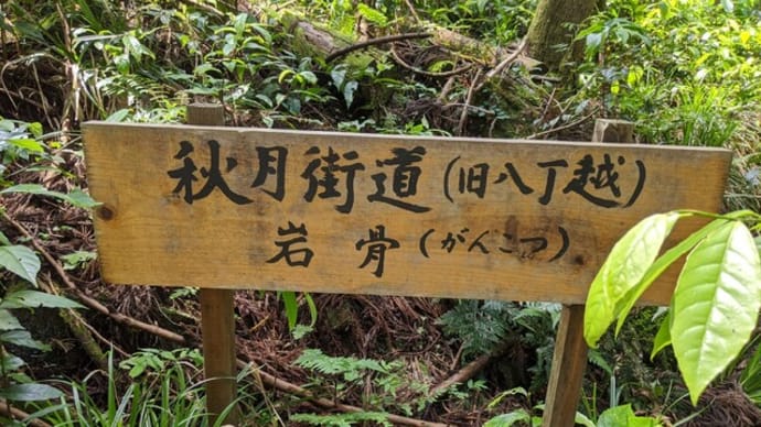 秋月街道♪古八丁峠ルートを徹底調査👍