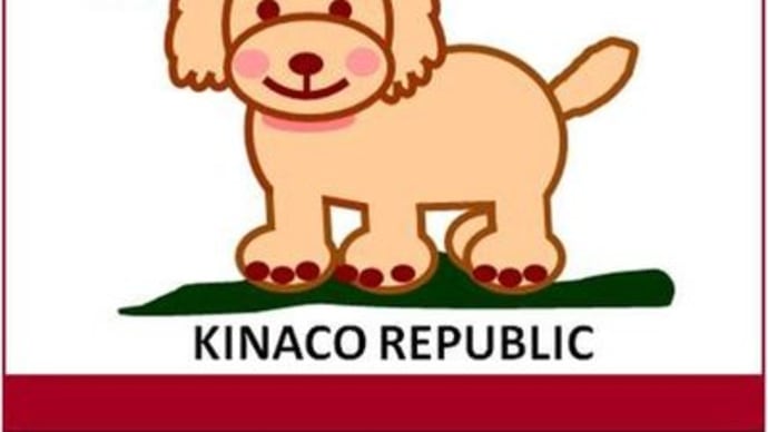 『KINACO REPUBLIC』のニューバージョン！