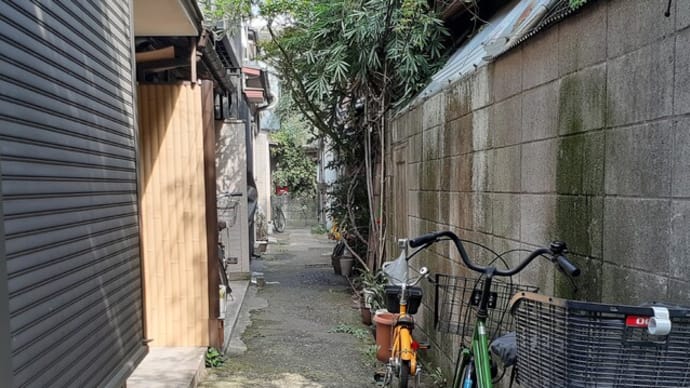 根津の路地に秋が来た。
