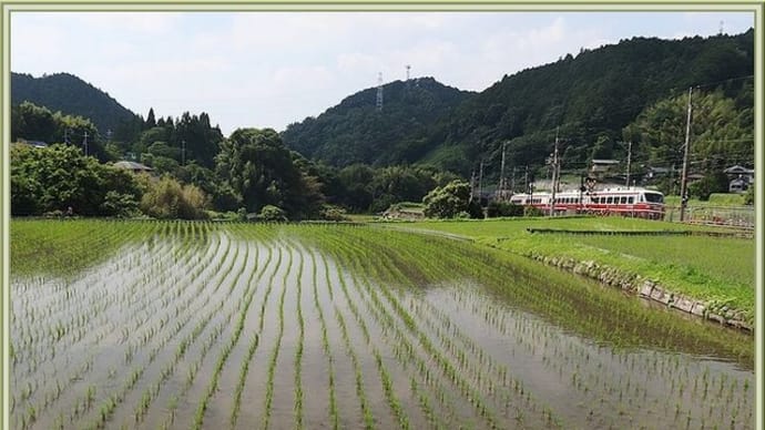 昼下がりの山里(2023.06 No.16)