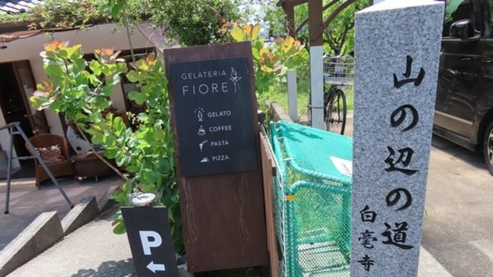 山の辺の道・北コースを歩く