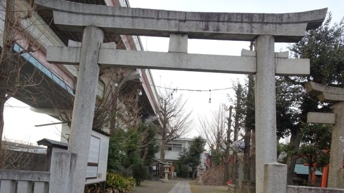 小谷野神社、車では前を良く通るが行ってみましょう！鳥居と鳥居の間にある早咲き桜が印象的！