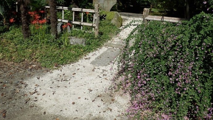 中院の 御詠歌刻む 石碑かな