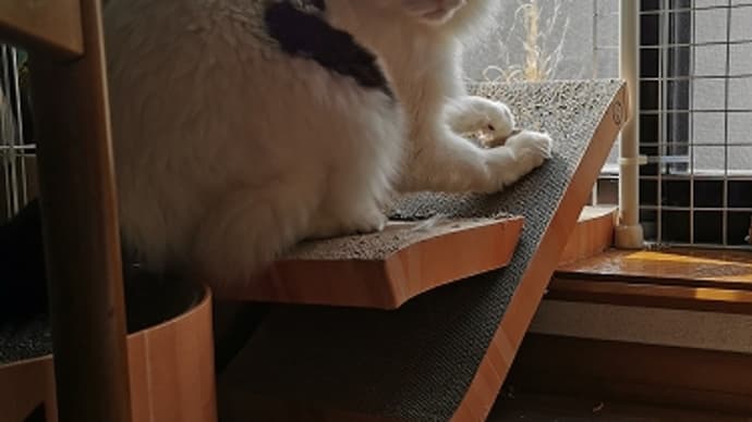 見てて~!