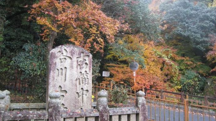 私の町吉備津の紅葉は