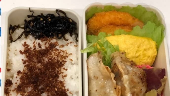 7/6 お嫁ちゃんの夜勤弁当