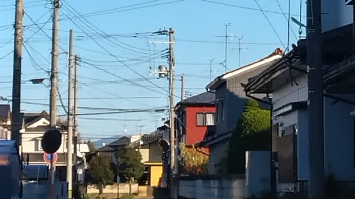 パーフェクト