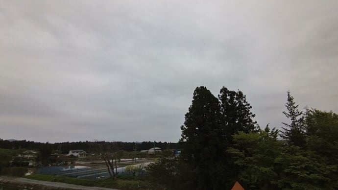 咲いた石楠花とキャンピングトレーラーの空