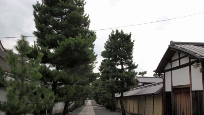 思い出写真