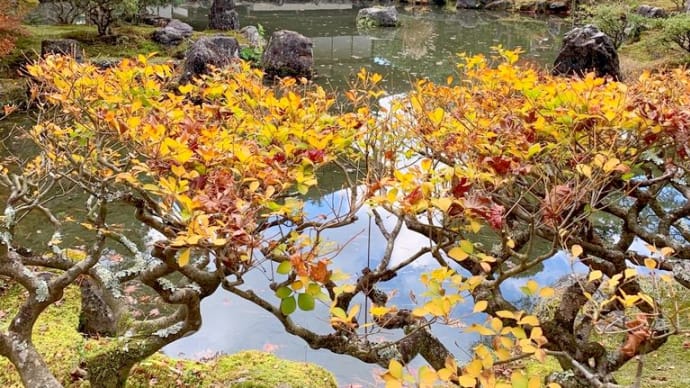 京都銀閣寺散策◎眺め良く運動すると心すっきり