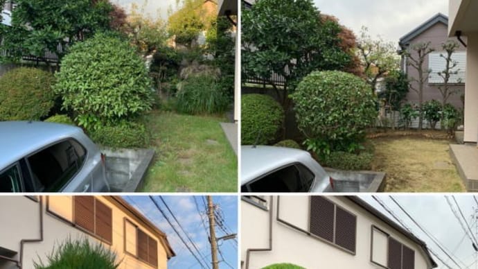 【作業事例】イブキの垣根とお庭全体の剪定作業|庭木手入れのコツもご紹介