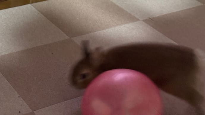 ピーター
