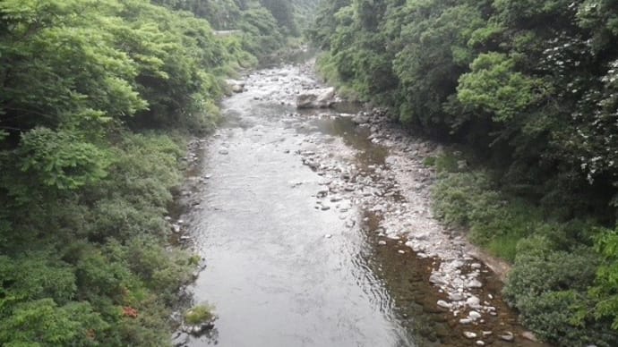 6月18日 亀尾島川 超渇水の中で鮎釣り！