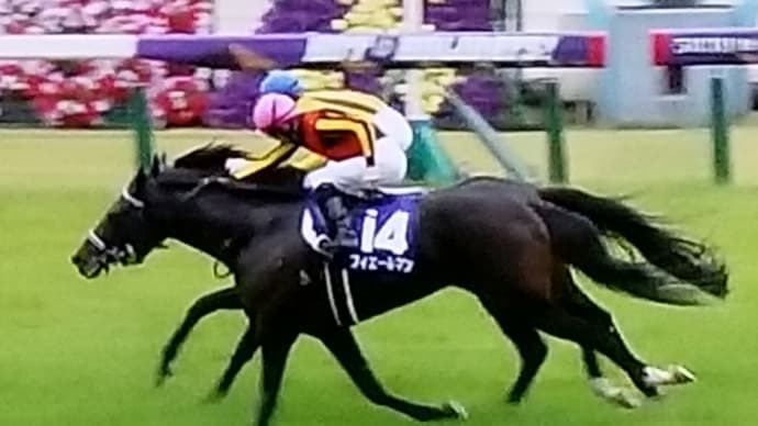 速報・大相撲5月場所中止へ&フィエールマン、天皇賞(春)ハナ差2連覇&あの岡村隆史が「麒麟にでる」