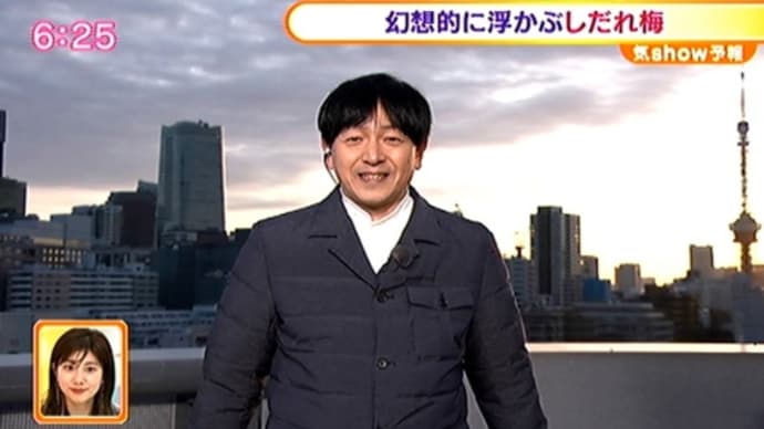 鈴鹿の森庭園しだれ桜