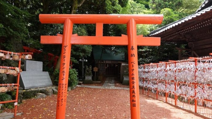 散歩写真 930