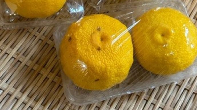 柚子茶を作りました