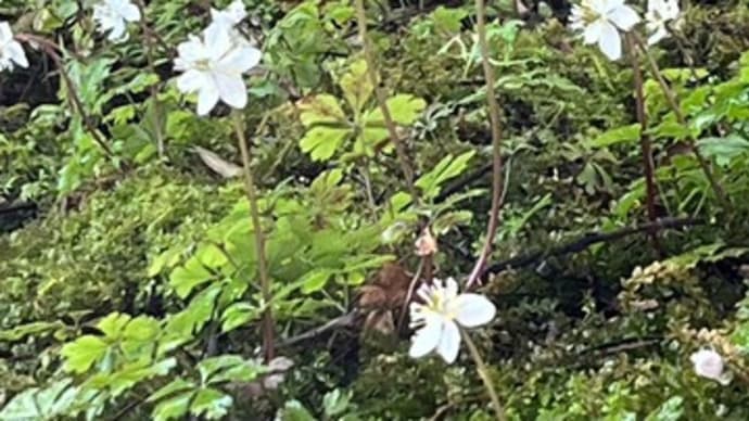 明日から2月