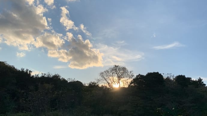 ライオンズゲート