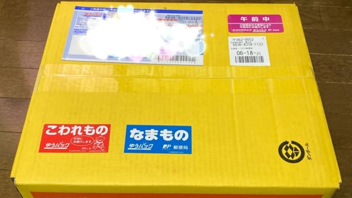 みかん。