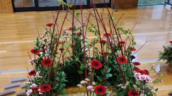 万年青会館の展示発表会の花・・・まだ、きれいにしていました～～！！
