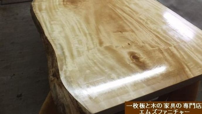 1152、【お届け前の準備のオイル仕上げ】1800mmサイズ、栃の木の一枚板テーブル、キラキラと艶が魅力です。仕上げのオイルメンテナンス。一枚板と木の家具の専門店エムズファニチャーです。