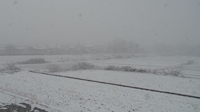 きょうの安達太良(湿った大雪・・・か?)