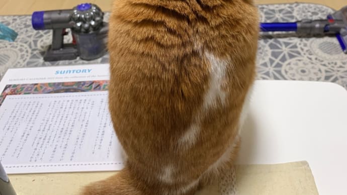 何なんでしょうね