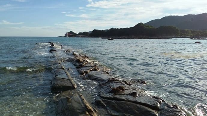 ぶらり散歩0710~また海藻が