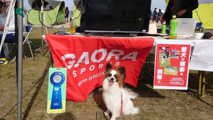 シェイラー&サイラス、大阪ブロックAG競技会3/13