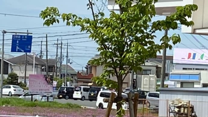 初めて病院の外へ!