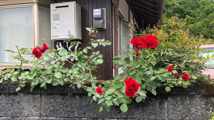 検証