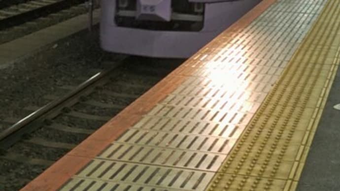 「霜柱と蝋梅の森」水戸にむかって