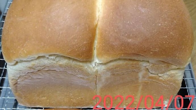 食パン製作　2022/04/07とちょっと前