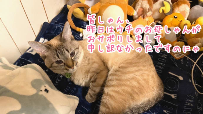 きなたんには関係ないけどゴメンなさいにゃ
