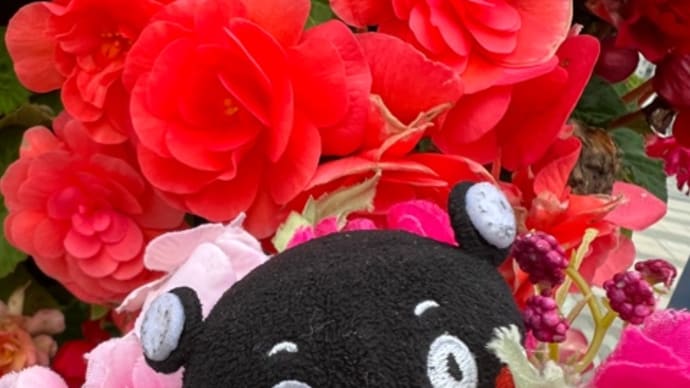 ❤️速報❤️6/22❤️シンボルプロムナード公園に聖火台設置中❤️