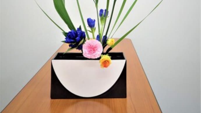 アサヒハランの面とオキナワシャガの線・・難しい取り合わせ・面白い自由花に