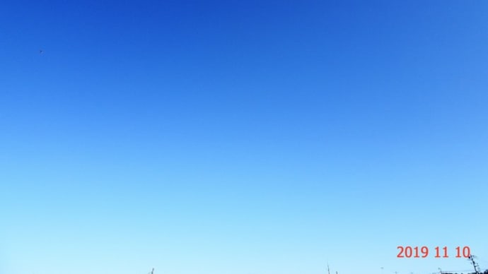 快晴ですが休養日!!