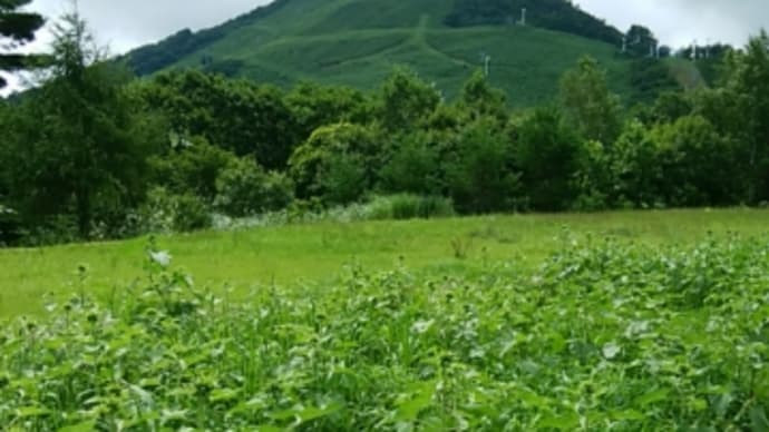 雲谷高原→萱野高原