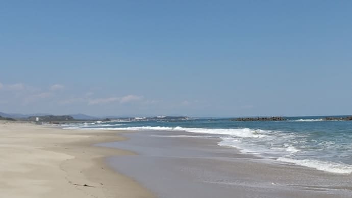 海と子