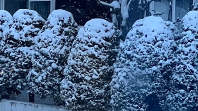 なごり雪
