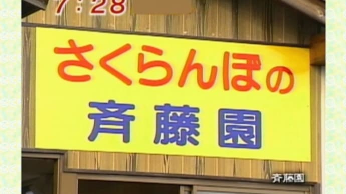 梨狩りに行ってきました!