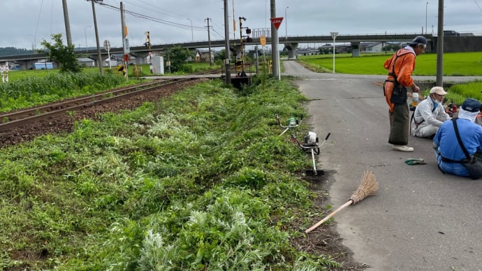 まるで草刈り祭りだな…