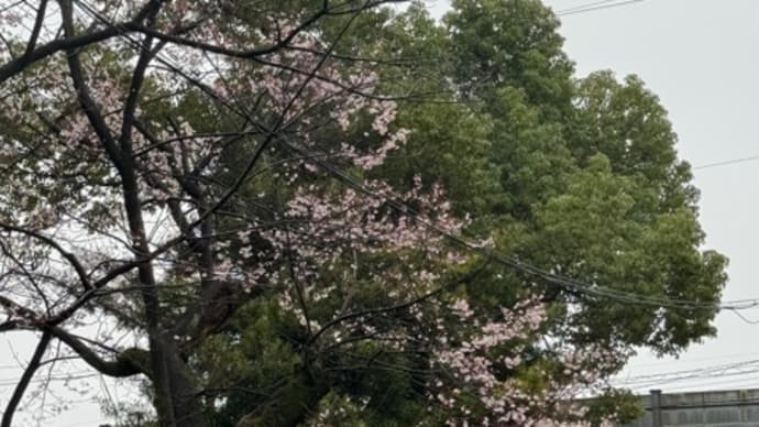 開花